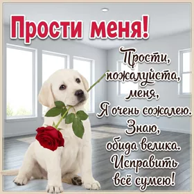 Picture очаровательная открытка прости меня пожалуйста