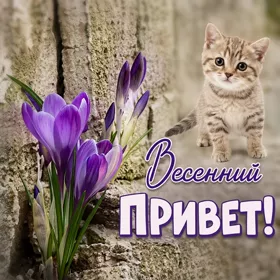 Picture милая открытка весенний привет