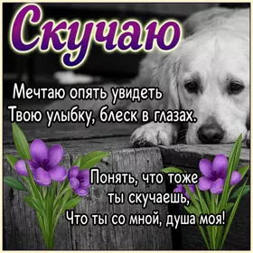 Postcard милая картинка скучаю