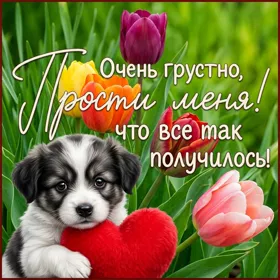 Picture милая картинка прости меня