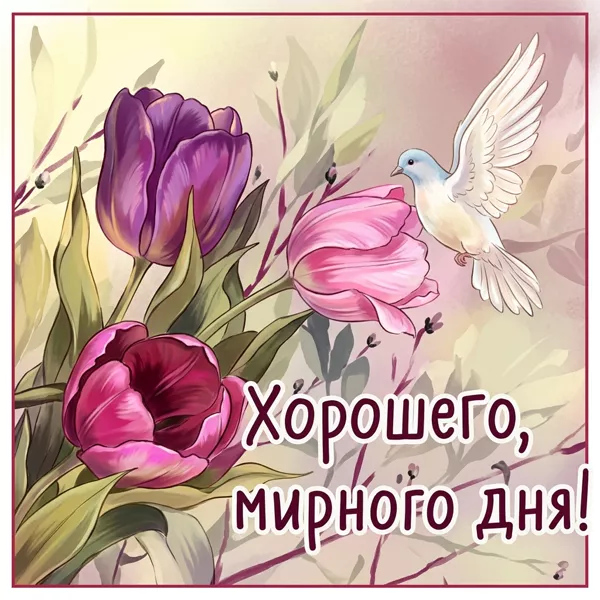 Postcard очаровательная картинка хорошего мирного дня