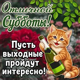 Postcard смешная картинка отличной субботы