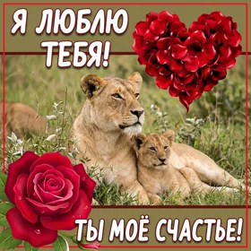 Postcard милая картинка ты мое счастье