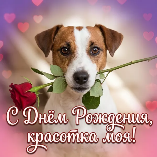 Picture чудная картинка с днем рождения красотка моя