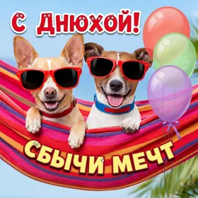 Postcard смешная картинка с днем рождения