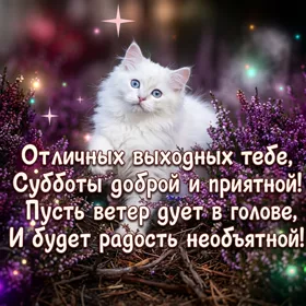 Picture милая открытка субботы доброй и приятной