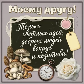 Postcard чудесная картинка моему другу