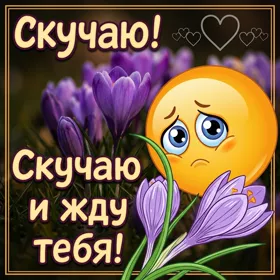 Postcard милая картинка скучаю и жду тебя