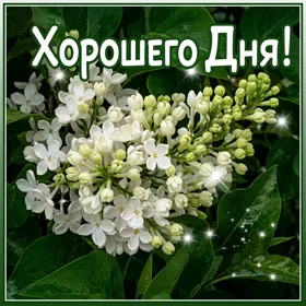 Picture яркая картинка хорошего дня