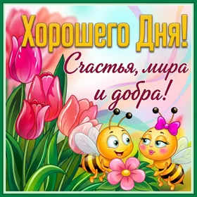 Postcard чудесная открытка хорошего дня