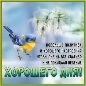 Postcard милая открытка побольше позитива