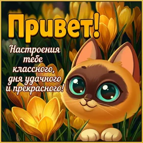Postcard милая открытка привет