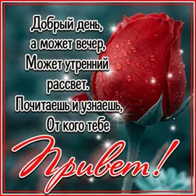 Picture милая открытка почитаешь и узнаешь от кого тебе привет