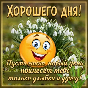 Postcard милая картинка хорошоего дня