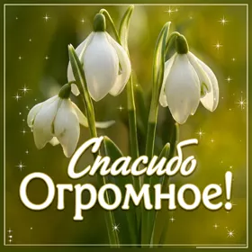 Picture очаровательная открытка спасибо огромное