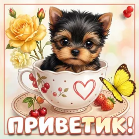 Picture милая открытка приветик