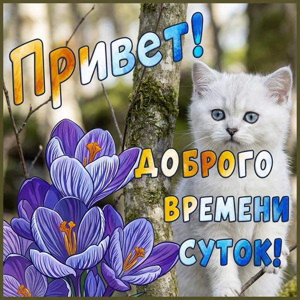 Postcard чудная открытка доброго времени суток