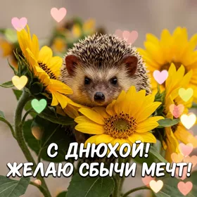 Postcard чудная картинка желаю сбычи мечт