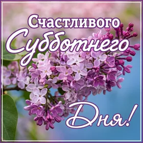 Postcard яркая открытка счастливого субботнего дня