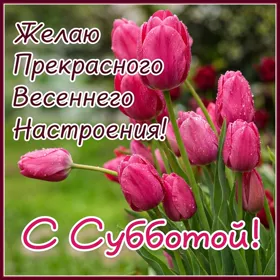 Picture чудесная картинка с субботой