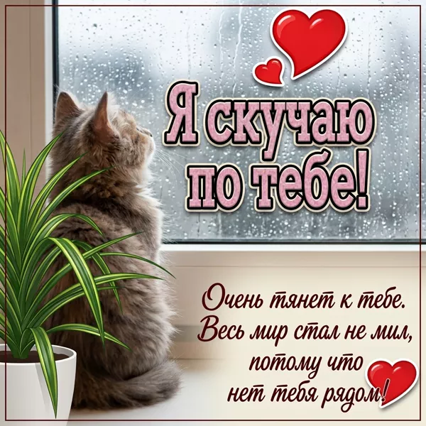 Picture чудесная открытка я скучаю по тебе
