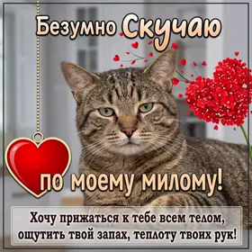Picture очаровательная картинка безумно скучаю