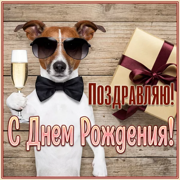 Postcard смешная открытка поздравляю