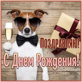 Postcard смешная открытка поздравляю