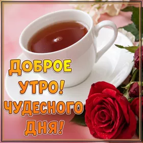 Picture милая открытка чудесного дня