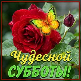 Picture яркая картинка чудесной субботы