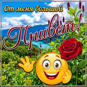Postcard яркая картинка то меня большой привет