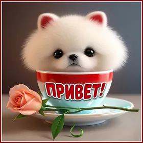 Picture смешная открытка привет