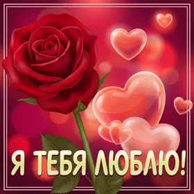 Postcard яркая открытка я тебя люблю