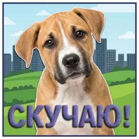 Postcard милая картинка скучаю