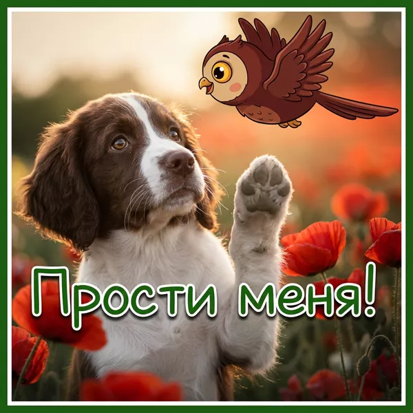 Postcard чудесная открытка прости меня