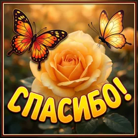 Postcard сказочная открытка спасибо