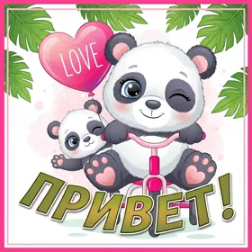 Picture чудесная открытка привет