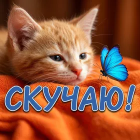 Postcard чудесная открытка скучаю