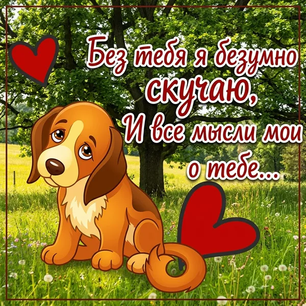 Picture милая открытка без тебя я безумно скучаю