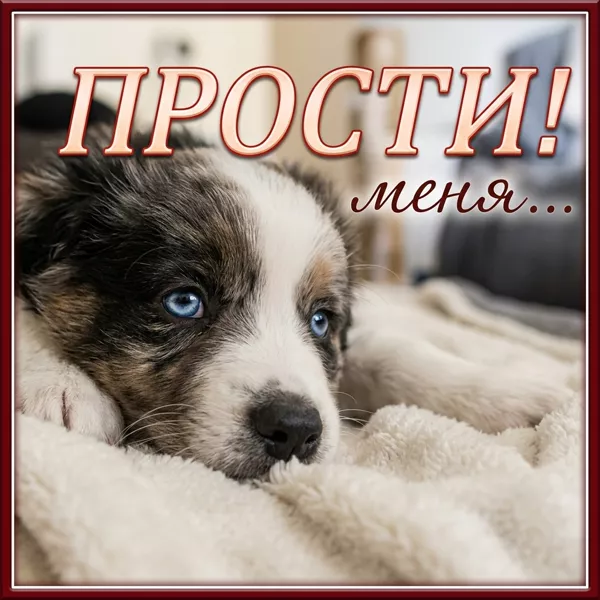 Picture милая открытка прости меня