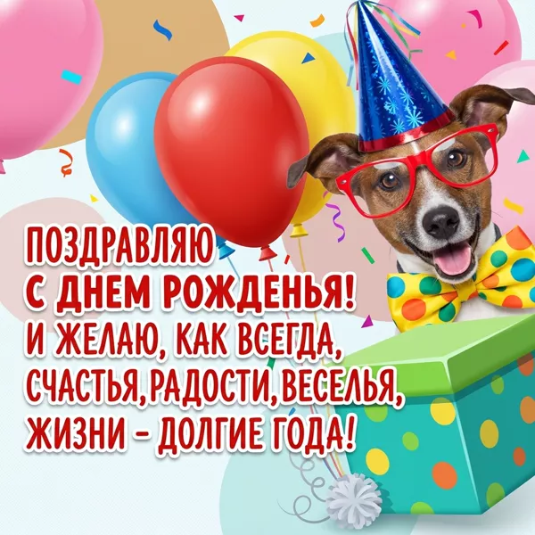 Postcard смешная открытка с днем рождения