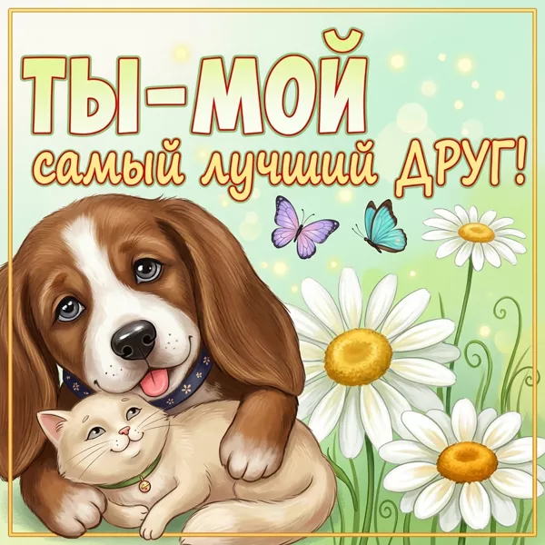 Postcard очаровательная открытка ты мой самый лучший друг