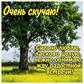 Picture яркая открытка очень скучаю