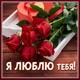 Postcard яркая открытка я люблю тебя