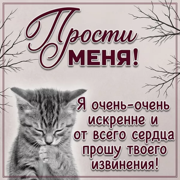 Postcard очаровательная открытка прости меня