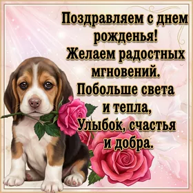 Открытка красивая картинка с днем рождения с пожеланиями