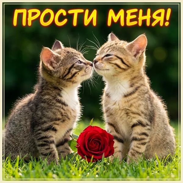 Postcard милая картинка прости меня