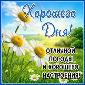 Picture яркая открытка  отличной погоды и хорошего настроения
