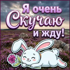 Postcard волшебная картинка я очень скучаю и жду