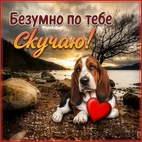 Postcard милая картинка безумно по тебе скучаю